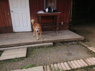 f:id:roukenhome-ann:20190707122450j:plain