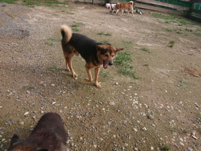 f:id:roukenhome-ann:20190707122509j:plain