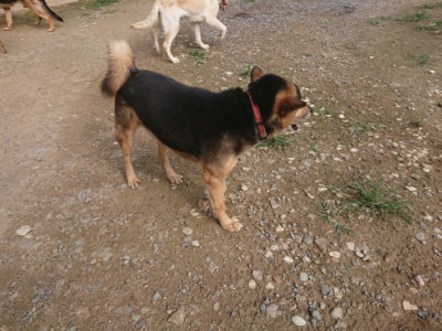 f:id:roukenhome-ann:20190707122521j:plain