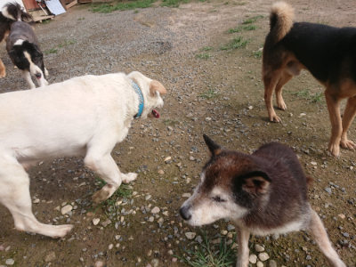 f:id:roukenhome-ann:20190707122536j:plain