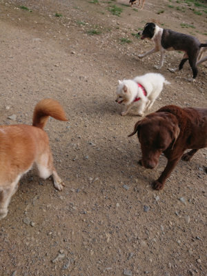 f:id:roukenhome-ann:20190707122719j:plain