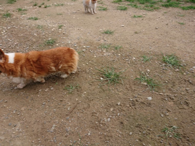 f:id:roukenhome-ann:20190707122737j:plain