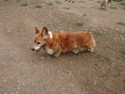 f:id:roukenhome-ann:20190707122744j:plain