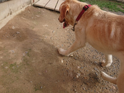 f:id:roukenhome-ann:20190707122847j:plain