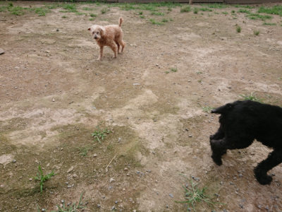 f:id:roukenhome-ann:20190707123010j:plain