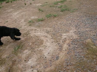 f:id:roukenhome-ann:20190707123113j:plain