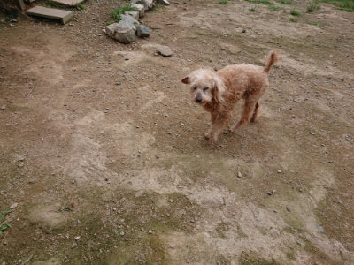 f:id:roukenhome-ann:20190707123236j:plain