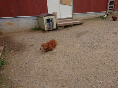 f:id:roukenhome-ann:20190708134147j:plain