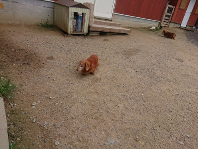 f:id:roukenhome-ann:20190708134156j:plain