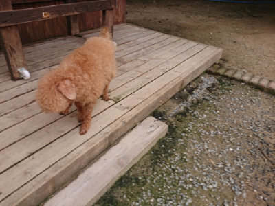 f:id:roukenhome-ann:20190708134215j:plain