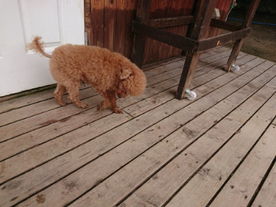 f:id:roukenhome-ann:20190708134226j:plain