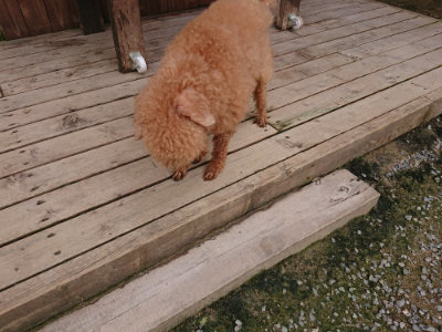 f:id:roukenhome-ann:20190708134244j:plain