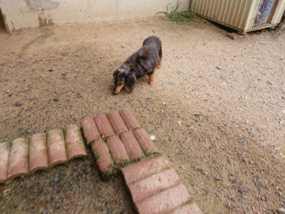 f:id:roukenhome-ann:20190708134250j:plain