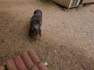 f:id:roukenhome-ann:20190708134254j:plain