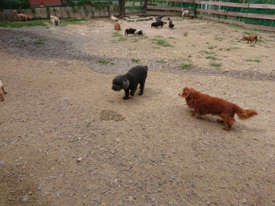 f:id:roukenhome-ann:20190708134308j:plain