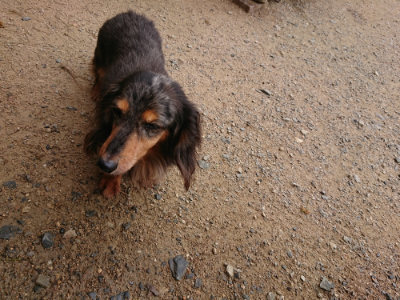 f:id:roukenhome-ann:20190708134328j:plain