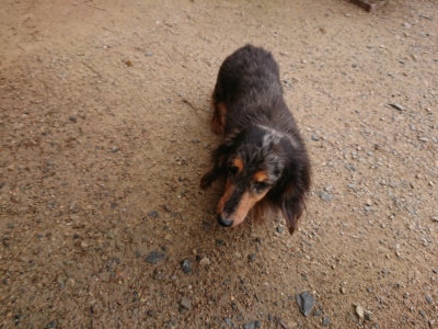 f:id:roukenhome-ann:20190708134333j:plain