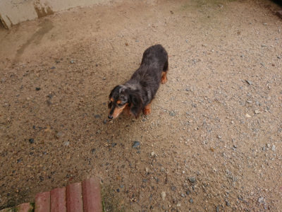 f:id:roukenhome-ann:20190708134338j:plain