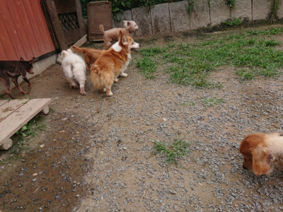 f:id:roukenhome-ann:20190708134343j:plain