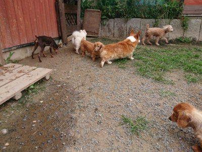 f:id:roukenhome-ann:20190708134354j:plain