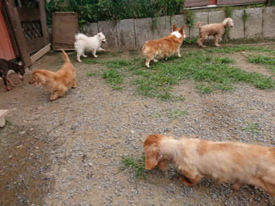 f:id:roukenhome-ann:20190708134359j:plain