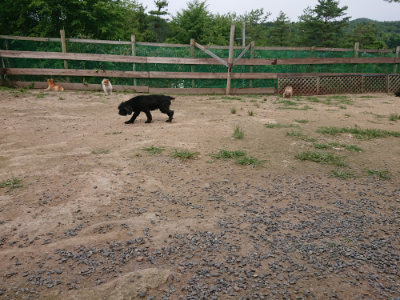 f:id:roukenhome-ann:20190708134430j:plain
