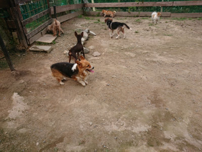 f:id:roukenhome-ann:20190708134442j:plain