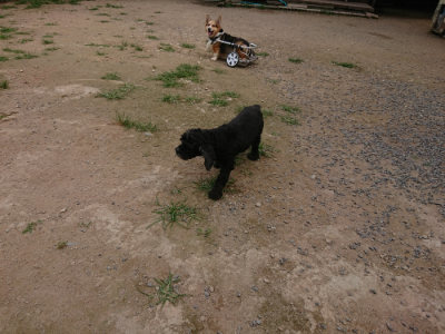 f:id:roukenhome-ann:20190708134446j:plain