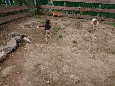 f:id:roukenhome-ann:20190708134451j:plain