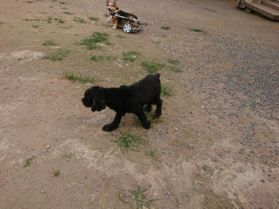 f:id:roukenhome-ann:20190708134510j:plain