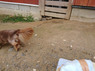 f:id:roukenhome-ann:20190708142046j:plain