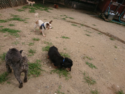 f:id:roukenhome-ann:20190708142139j:plain