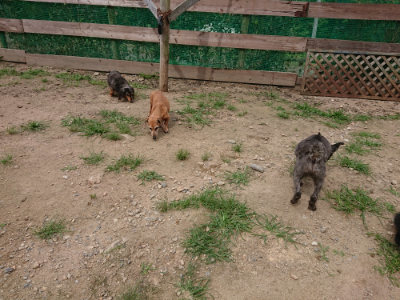 f:id:roukenhome-ann:20190708142159j:plain