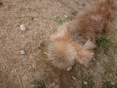 f:id:roukenhome-ann:20190708142214j:plain
