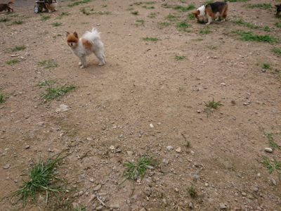 f:id:roukenhome-ann:20190708142231j:plain
