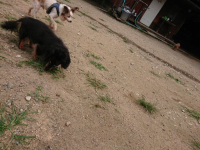 f:id:roukenhome-ann:20190708142238j:plain