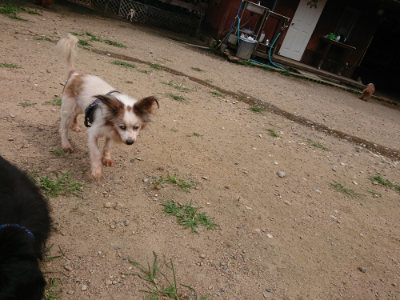 f:id:roukenhome-ann:20190708142244j:plain