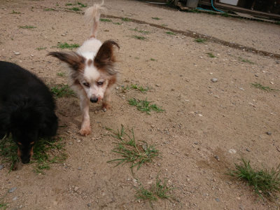 f:id:roukenhome-ann:20190708142248j:plain
