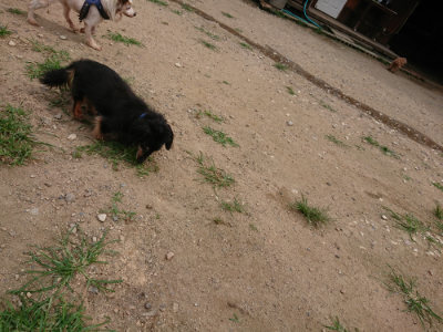 f:id:roukenhome-ann:20190708142309j:plain