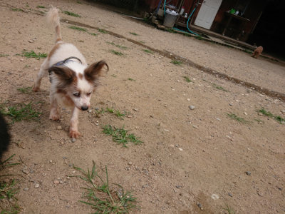 f:id:roukenhome-ann:20190708142314j:plain
