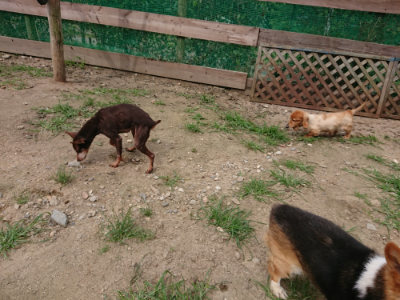 f:id:roukenhome-ann:20190708142324j:plain