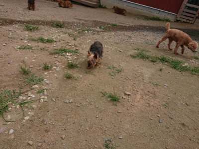 f:id:roukenhome-ann:20190708142354j:plain