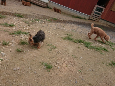 f:id:roukenhome-ann:20190708142359j:plain