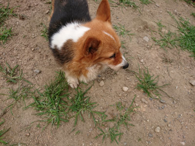 f:id:roukenhome-ann:20190708142404j:plain