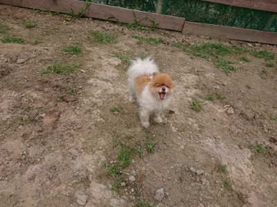 f:id:roukenhome-ann:20190708142414j:plain
