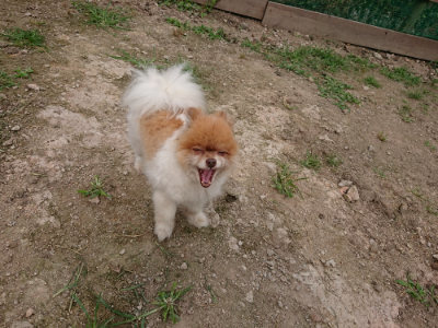 f:id:roukenhome-ann:20190708142420j:plain