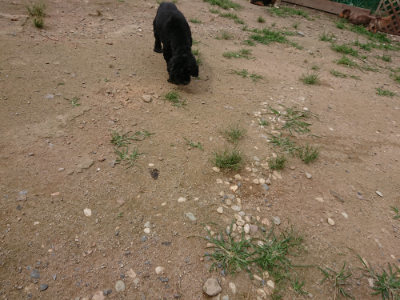 f:id:roukenhome-ann:20190708142433j:plain