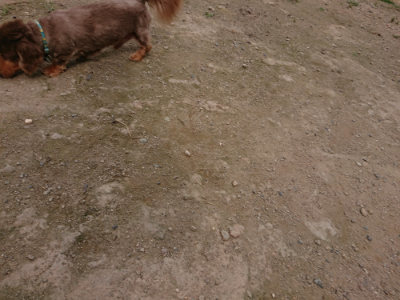 f:id:roukenhome-ann:20190708142703j:plain