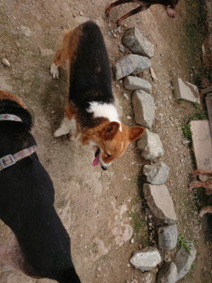 f:id:roukenhome-ann:20190708142718j:plain