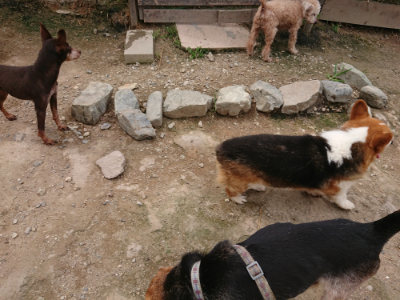f:id:roukenhome-ann:20190708142744j:plain